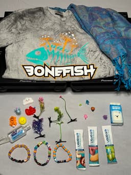 Bare Bones Festival Kit preview